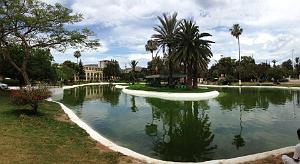 ORAN - JARDIN PUBLIC (4)